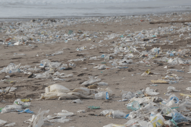 Plastics near ocean