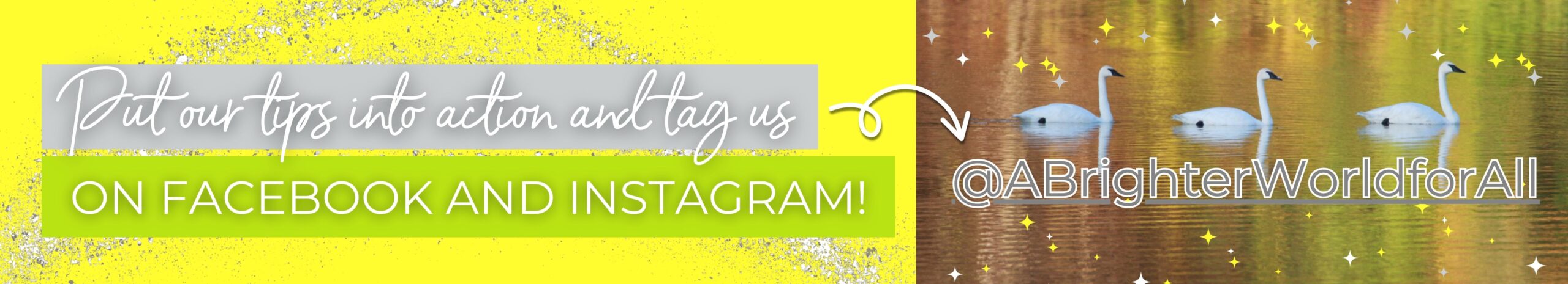 Put our tips into action and tag us on Facebook and Instagram!