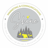 SHINE Gray Final Logo